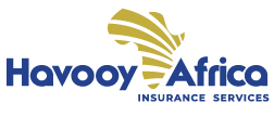 logo havooy